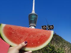 -梧桐山风景名胜区