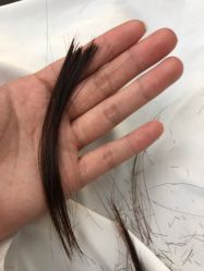 -川崎形象·GANO HAIR  salon