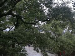 -溪口-滕头旅游景区