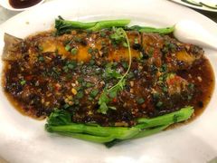 -有腥气私房菜·寻味顺德