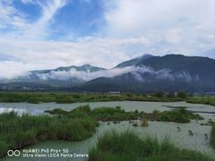 -腾冲北海湿地