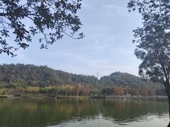 -顺峰山公园