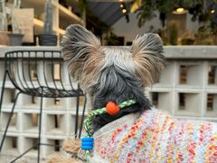 -自由生长植物工作室(深港花卉中心店)