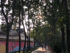 -塔子山公园