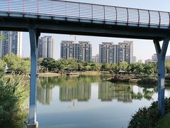 -王借岗森林公园