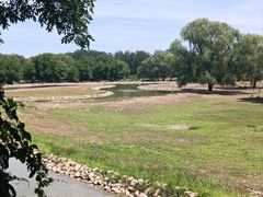 -北京麋鹿生态实验中心