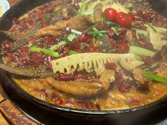 -老板恋上鱼(恒隆广场店)