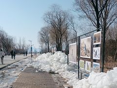 -野鸭湖国家湿地公园
