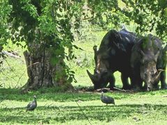 -卡塞拉自然公园