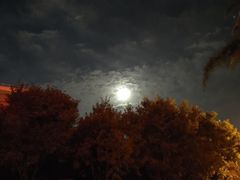 -魏家凉皮(科技三路店)