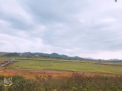 -光明小镇欢乐田园