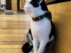 -猫的天空之城概念书店(杭州南宋御街店)