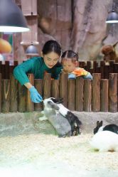 -宝燕乐园(闵行旗舰店)