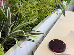 -许小树(国贸商城店)