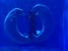 -多彩贵州城极地海洋世界