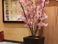 -大江户·温泉洗浴(浑南店)