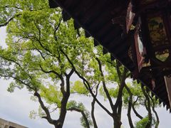 -天一阁博物院