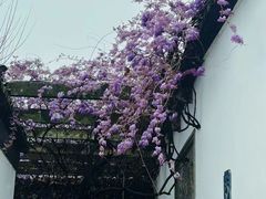 -苏州园林博物馆