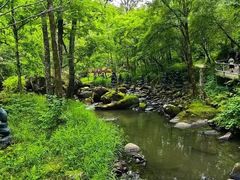 -茅兰沟国家森林公园