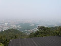 -MAMACHA妈妈茶(岳麓山店)