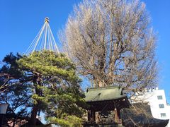 -医王山·飞騨国分寺