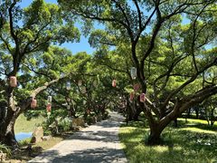 -江心屿景区