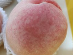 -老袁家蜜桃农场·阳山水蜜桃