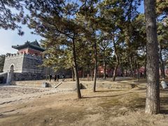 -清东陵