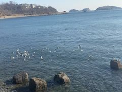 -银沙滩浴场