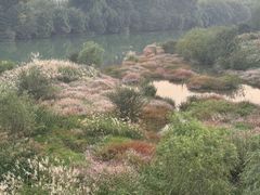 -乌龙涧铁道铁轨景
