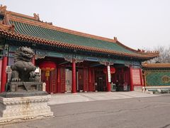-中国紫檀博物馆