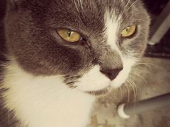 -MIKAKU(万达广场上海宝山店)