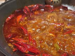 -朱光玉火锅馆(正弘城店)