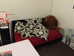 -樊笼真人密室逃脱(江南西店)