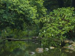 -成都市活水公园