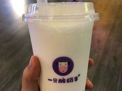 -一只酸奶牛(八一路店)