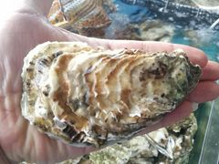 -四海鲜渔家菜(黄金海岸店)