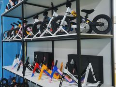 -长春乐奇平衡车儿童体能运动中心