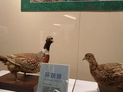 -旅顺博物馆