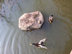 -神光山国家森林公园