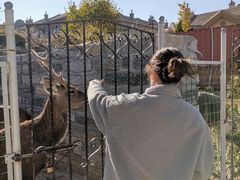 -清风小镇闯关东影视基地