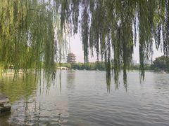-济南大明湖景区