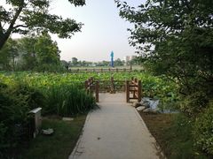-海天湖公园