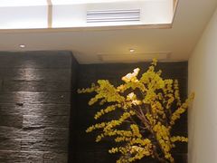 -呷湘厨·鱼汤捞饭·剁椒鱼头·湘菜(国家会展中心店)