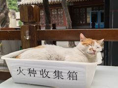 -潭柘寺景区