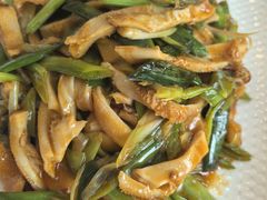 -蔡阿水羊肉店