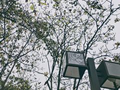 -鹅岭公园瞰胜楼