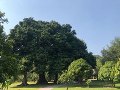 -中国科学院西双版纳热带植物园
