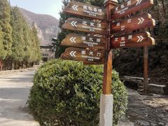 -藏山旅游风景区