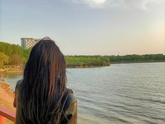 -丁香湖公园